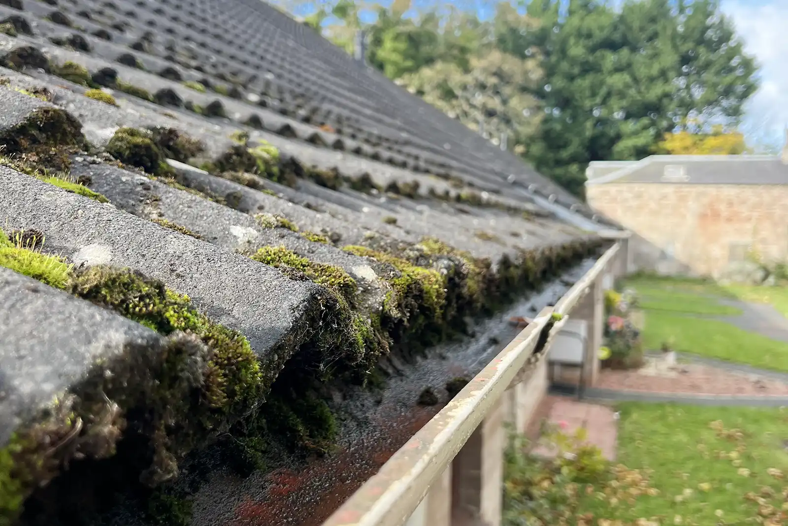 Gutter Cleaning