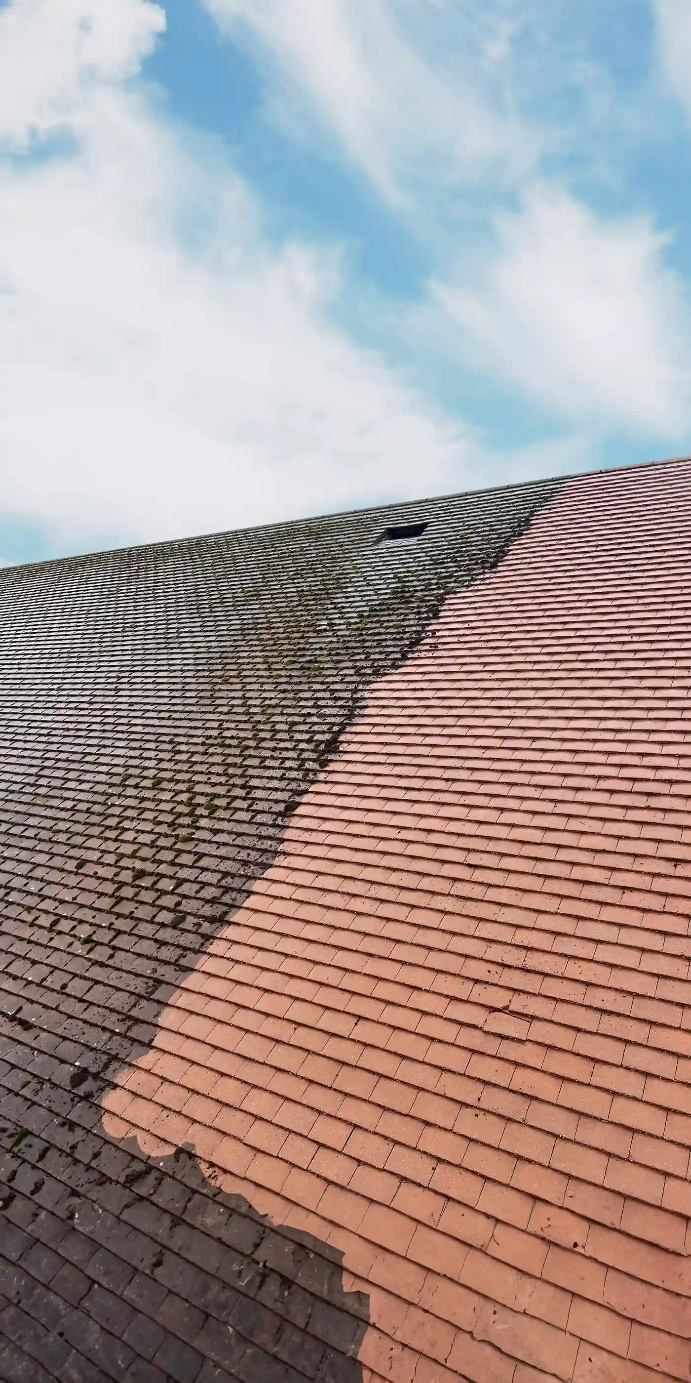 Roof Cleaning