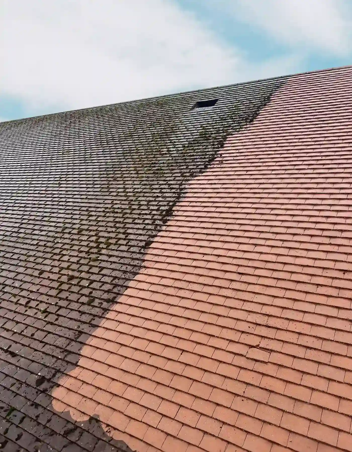 Roof Cleaning
